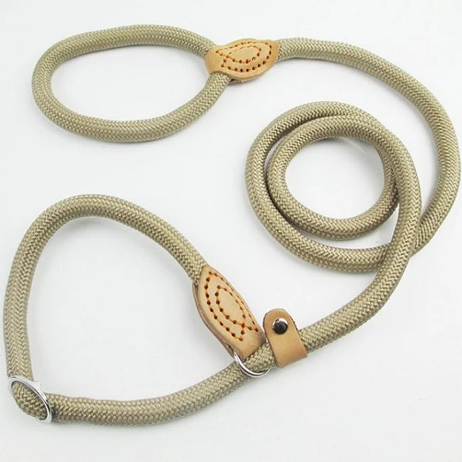 REAL. NOT NICE. LEASH