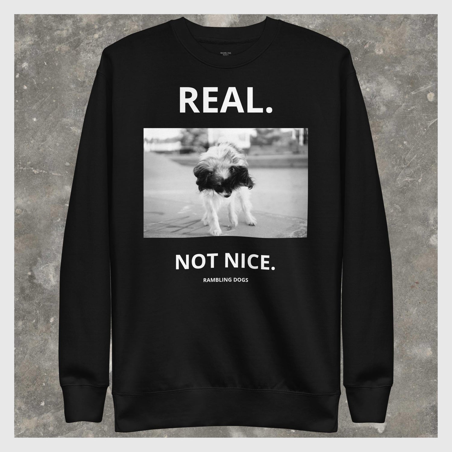 RAMBLING DOGS - FLOYD / REAL. NOT NICE.