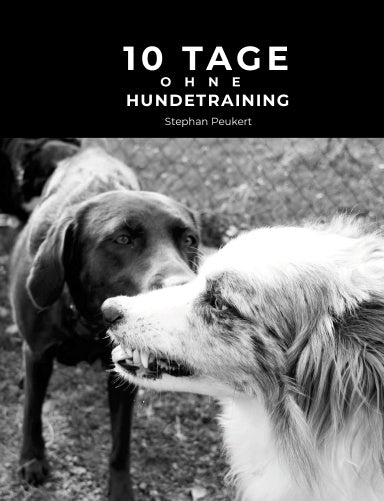 Book Cover Variant Thumbnail