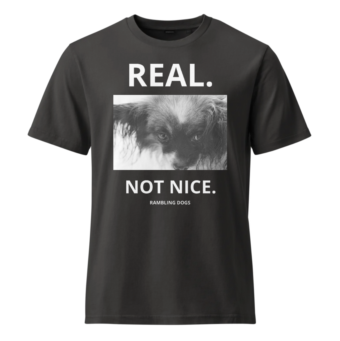 RAMBLING DOGS - FLOYD 1 / REAL. NOT NICE. / LADIES SHIRT