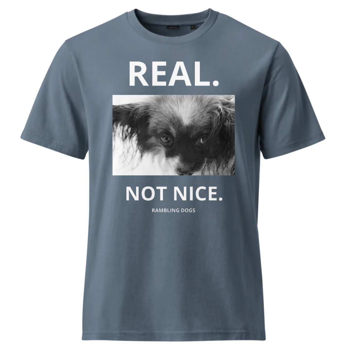 RAMBLING DOGS - FLOYD 1 / REAL. NOT NICE. / LADIES SHIRT