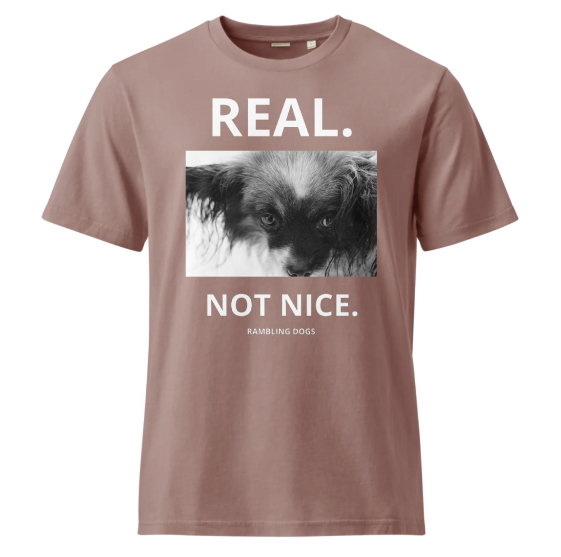 RAMBLING DOGS - FLOYD 1 / REAL. NOT NICE. / LADIES SHIRT