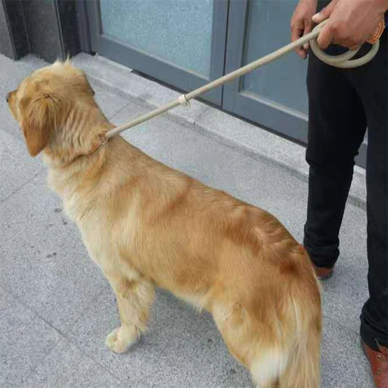 REAL. NOT NICE. LEASH
