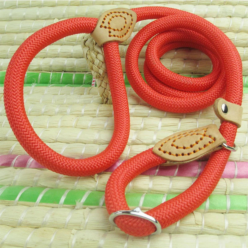 REAL. NOT NICE. LEASH