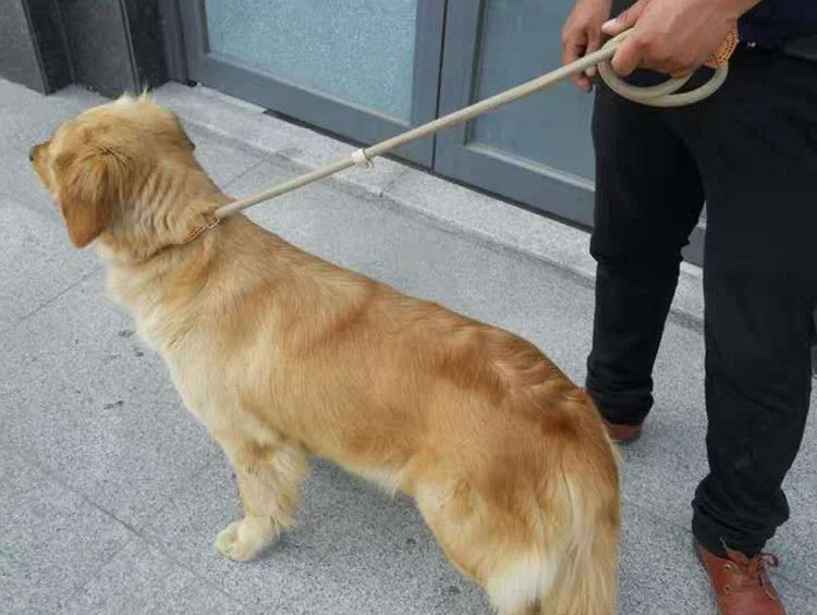 REAL. NOT NICE. LEASH