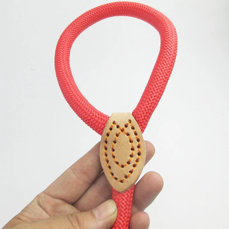 REAL. NOT NICE. LEASH