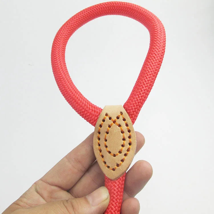 REAL. NOT NICE. LEASH