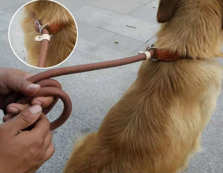 REAL. NOT NICE. LEASH
