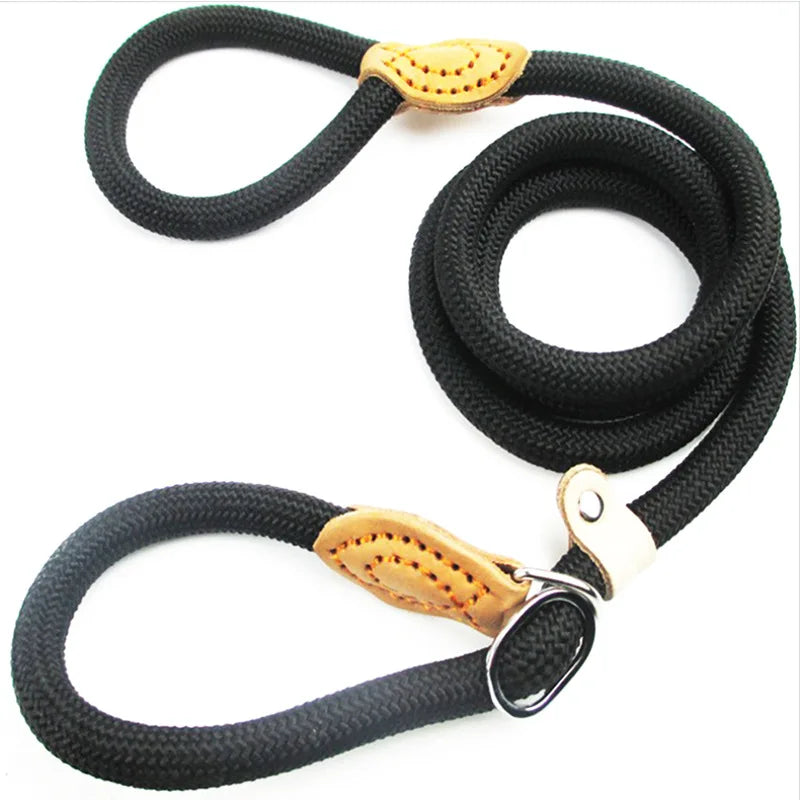 REAL. NOT NICE. LEASH