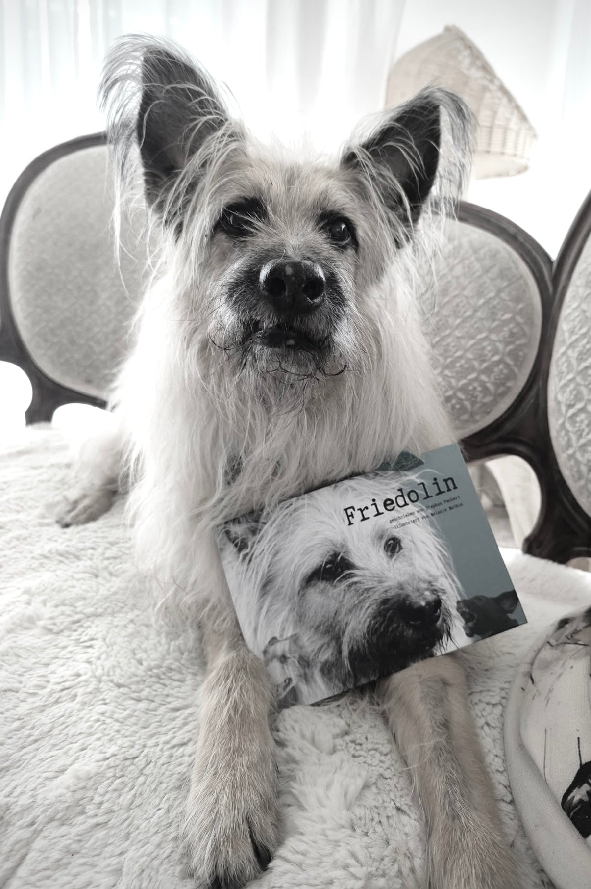 FRIEDOLIN - Lessons for Life from Dogs / english